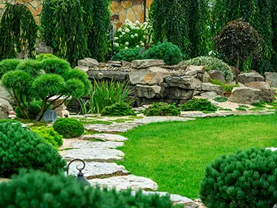 Lawn Maintenance, San Antonio, TX